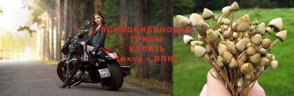 альфа пвп Вязьма