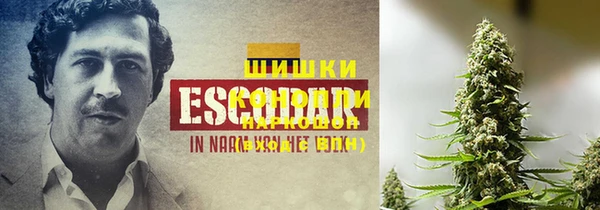 COCAINE Вяземский